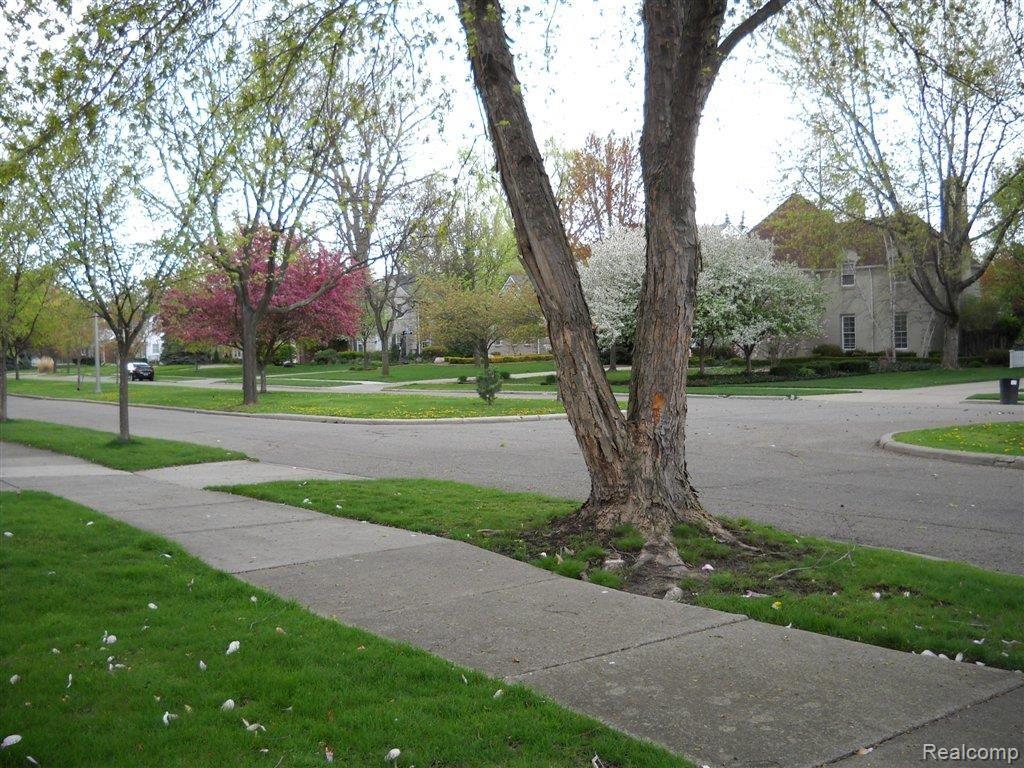 733 Middlesex Road Grosse Pointe, MI 48230 - Photo 18 of 19 115.JPG