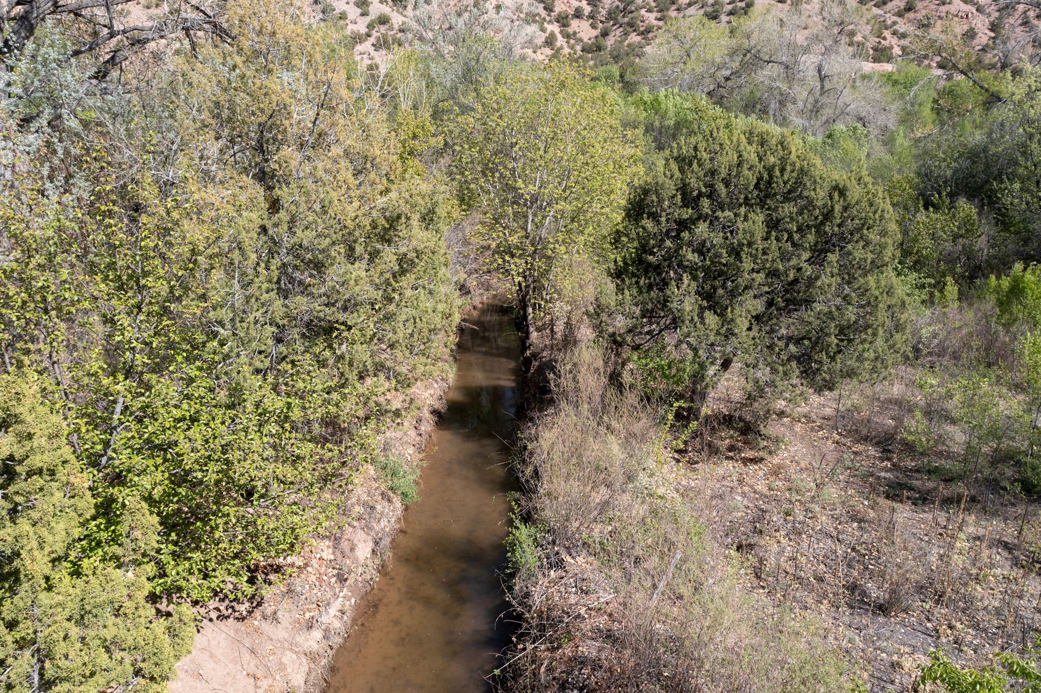 332 Juan Medina Road Chimayo, NM 87522 - Photo 6 of 17