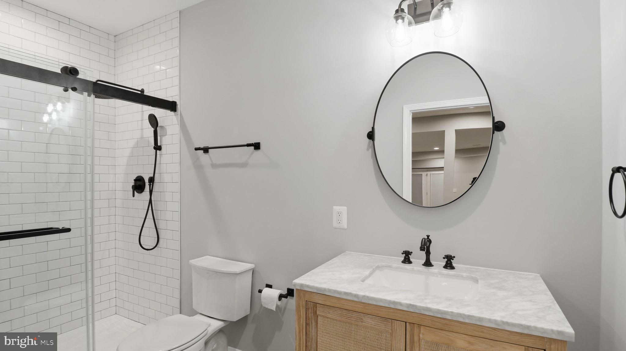 25956 Cullen Run Place Aldie, VA 20105 - Photo 98 of 109 a bathroom with a sink toilet and a mirror