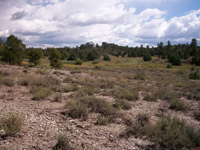 a view of a yard and mountain