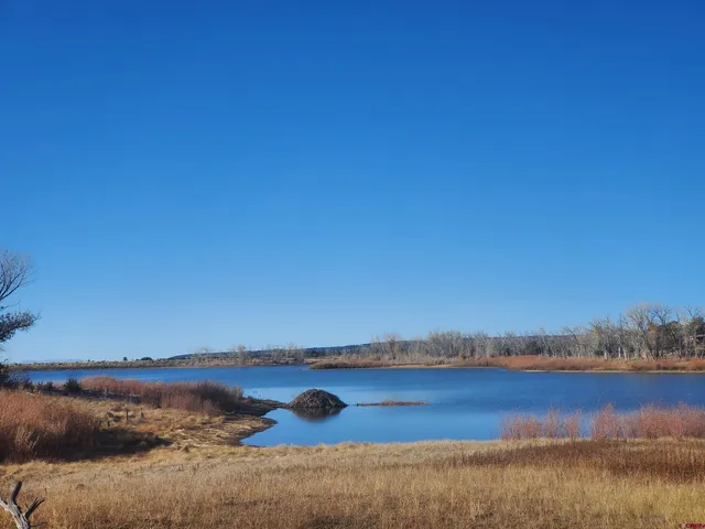 a view of house with yard