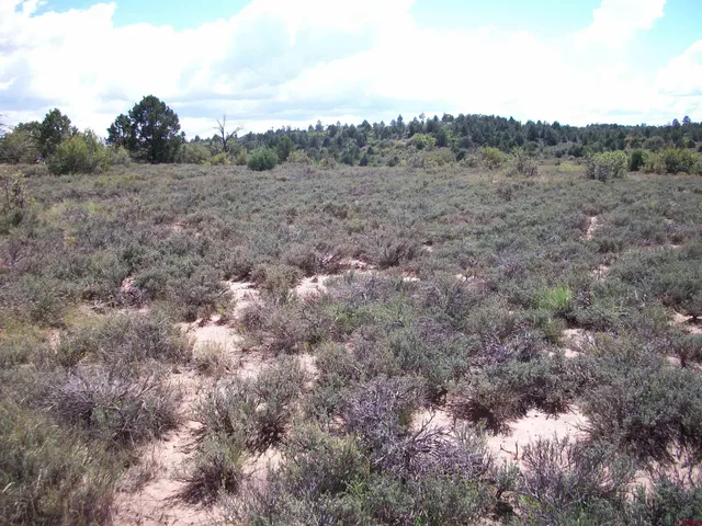 $294,900 | 13989 Road 35.6, Mancos, CO 81328