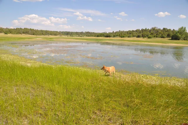 a view of a terrace with a city view