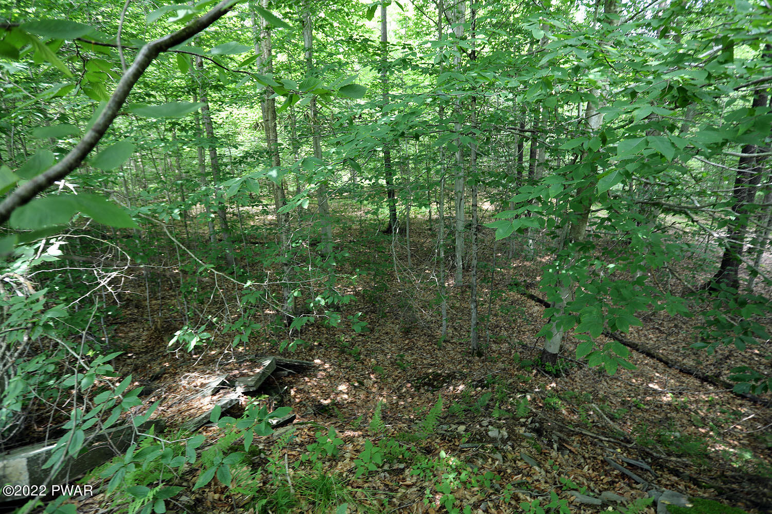 0 Minckler Mountain Road Damascus, PA 18415 - Photo 34 of 43