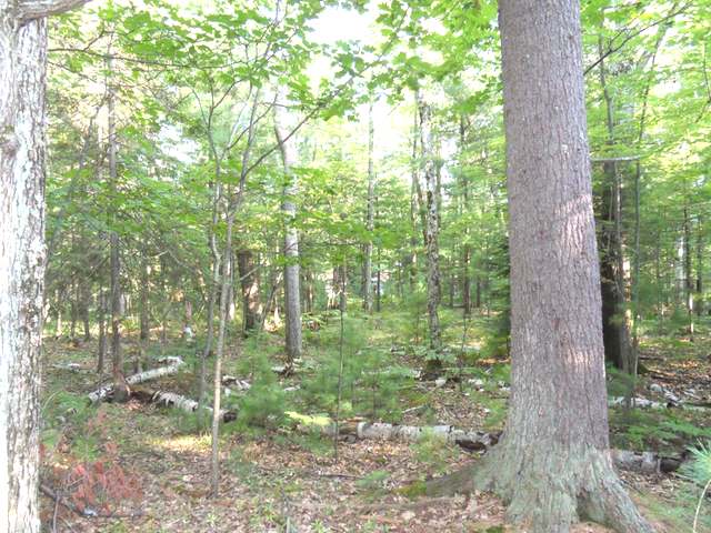On Greenloch Road Rhinelander, WI 54501 - Photo 3 of 6 Gallery Image 3
