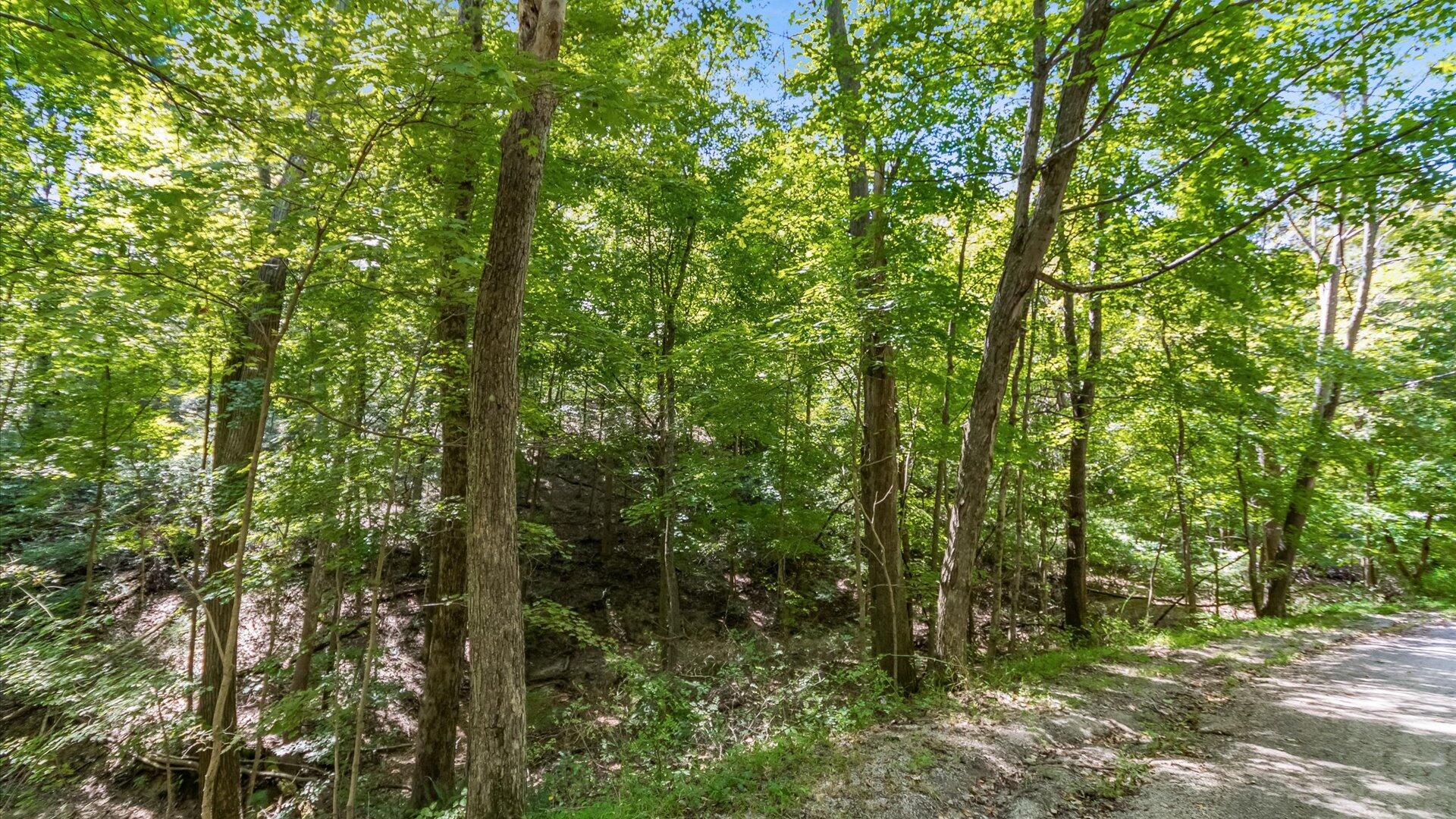 01-zj Paradise Rd.001-2
