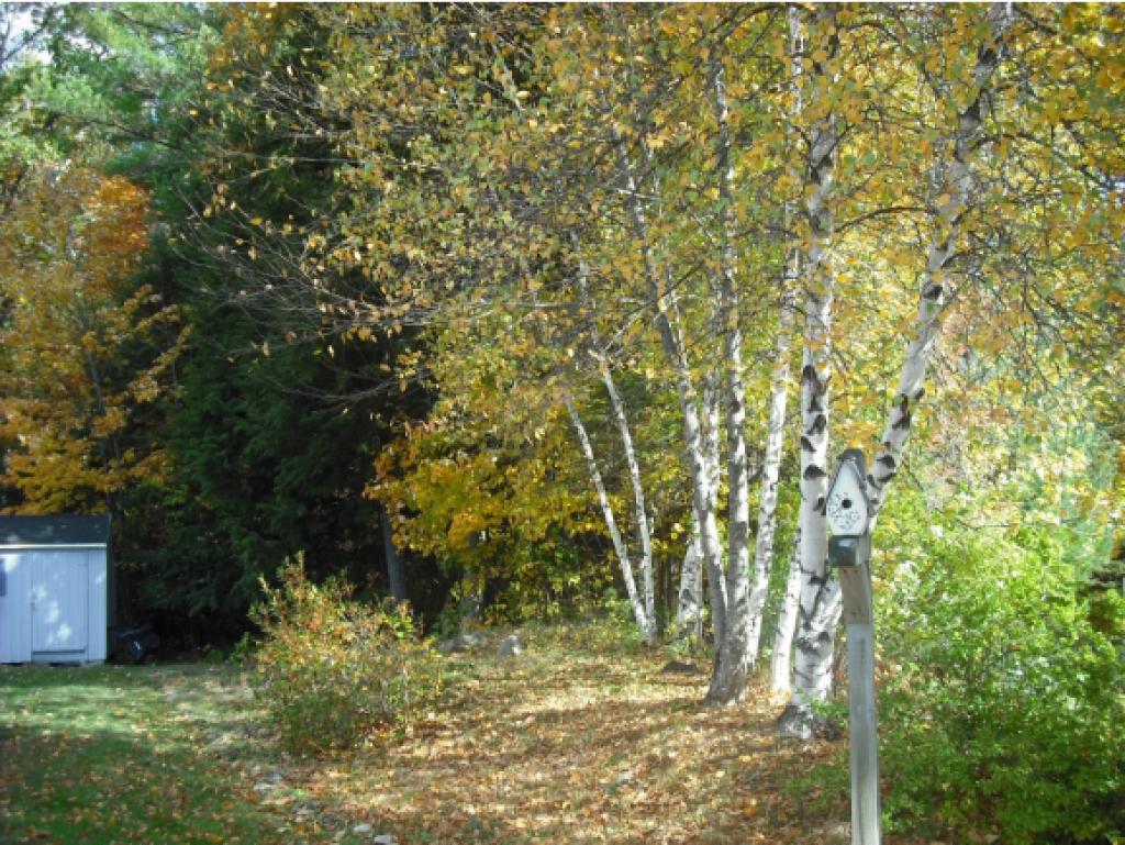 77 Pondview Road Swanzey, NH 03446 - Photo 5 of 25 Gallery Image 5
