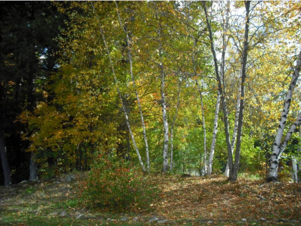 77 Pondview Road Swanzey, NH 03446 - Photo 6 of 25 Gallery Image 6