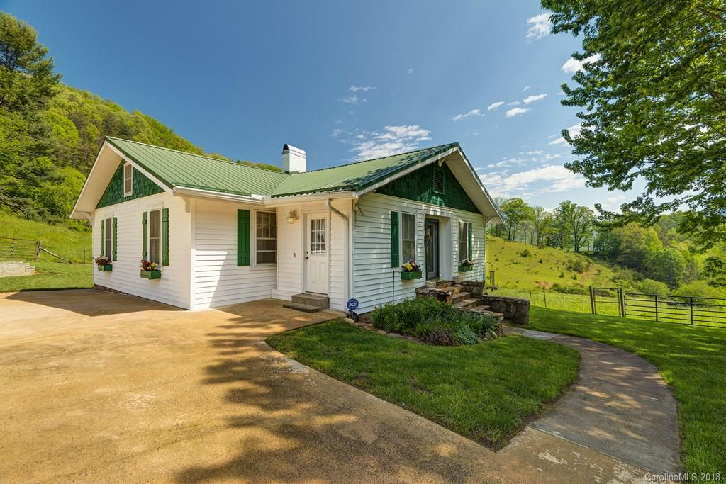364 Smokey Cove Road Canton, NC 28716 - Photo 1 of 27
