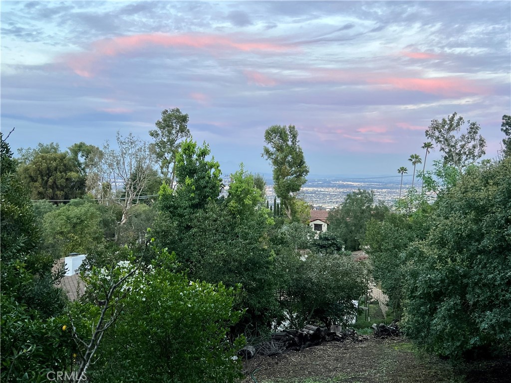 2 Chuckwagon Road Palos Verdes Peninsula, CA 90274 - Photo 10 of 75 Sunset colors from one of the orchards