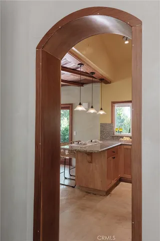 a view of a backyard with plants and a garden