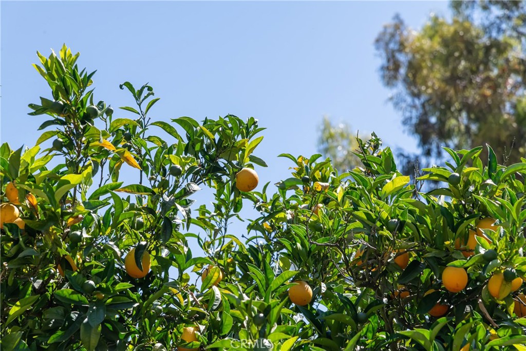2 Chuckwagon Road Rolling Hills, CA 90274 - Photo 49 of 76