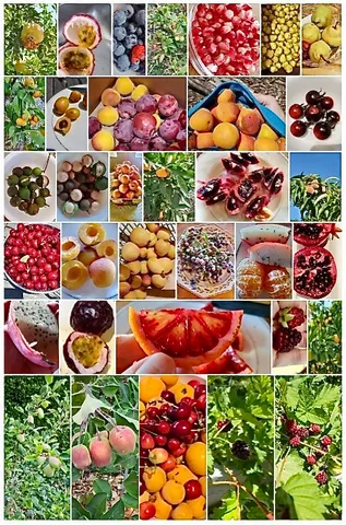 $2,600,000 | 2 Chuckwagon Road, Rolling Hills, CA 90274