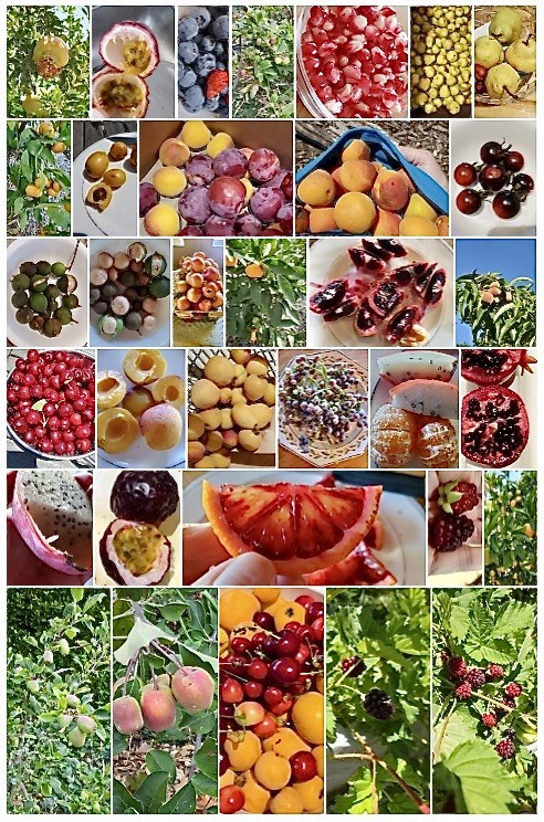 2 Chuckwagon Road Rolling Hills, CA 90274 - Photo 52 of 76