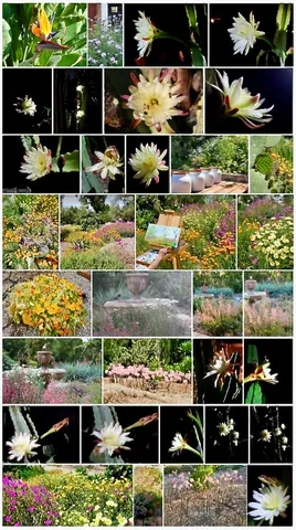 $2,600,000 | 2 Chuckwagon Road, Rolling Hills, CA 90274