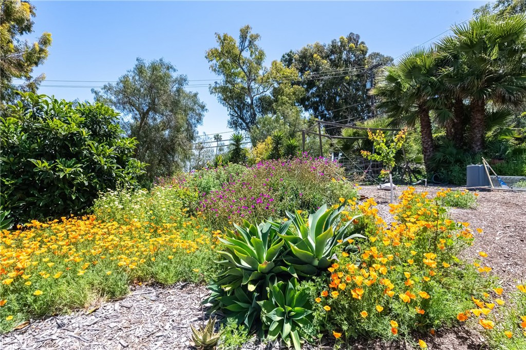 2 Chuckwagon Road Rolling Hills, CA 90274 - Photo 55 of 76 a view of yard with swimming pool