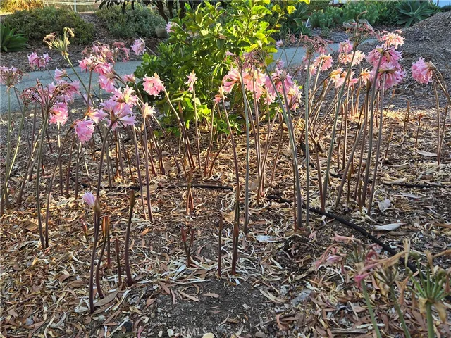 $2,600,000 | 2 Chuckwagon Road, Rolling Hills, CA 90274