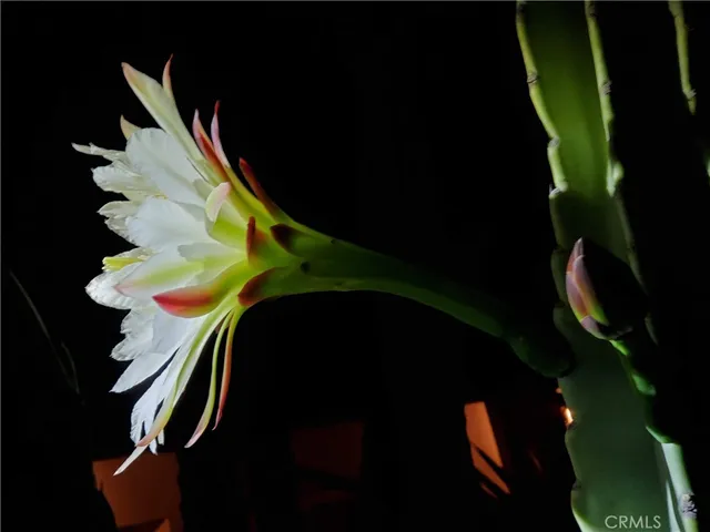 $2,600,000 | 2 Chuckwagon Road, Rolling Hills, CA 90274