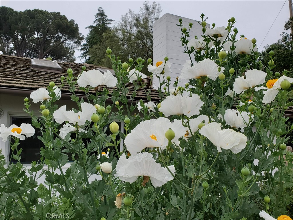2 Chuckwagon Road Rolling Hills, CA 90274 - Photo 62 of 76