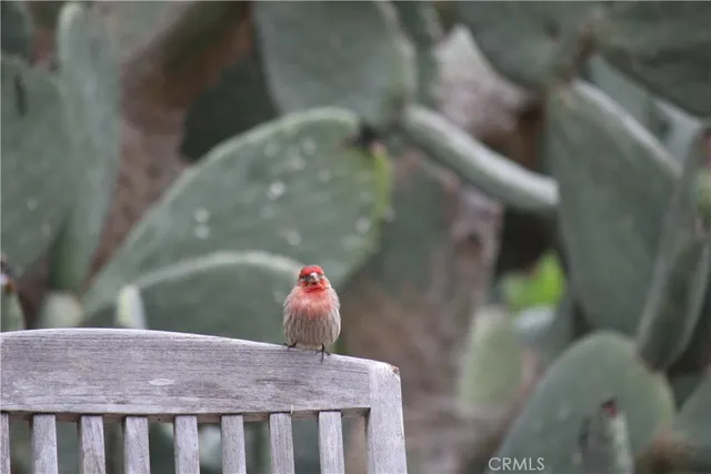 $2,600,000 | 2 Chuckwagon Road, Rolling Hills, CA 90274