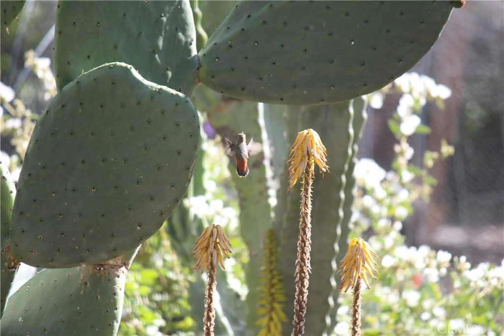 2 Chuckwagon Road Rolling Hills, CA 90274 - Photo 65 of 76 a close view of sliding door