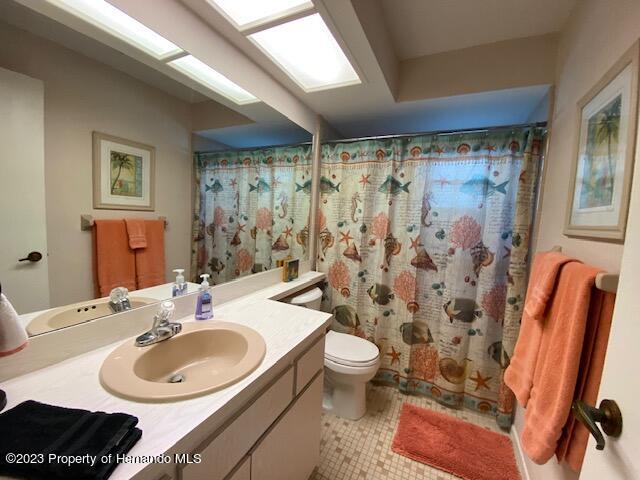2671 Royal Ridge Drive Spring Hill, FL 34606 - Photo 17 of 34 a bathroom with a sink a toilet and shower curtain