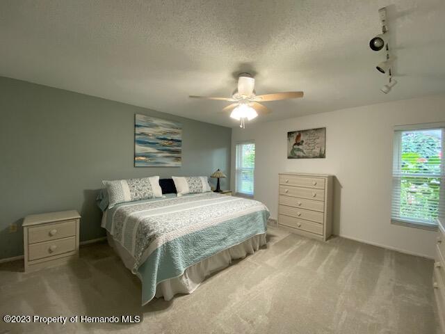 2671 Royal Ridge Drive Spring Hill, FL 34606 - Photo 19 of 34 a bedroom with a bed and a chandelier