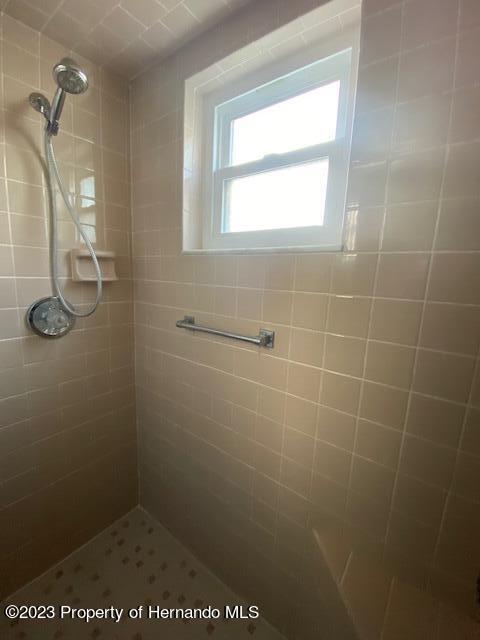 2671 Royal Ridge Drive Spring Hill, FL 34606 - Photo 22 of 34 a bathroom with a shower