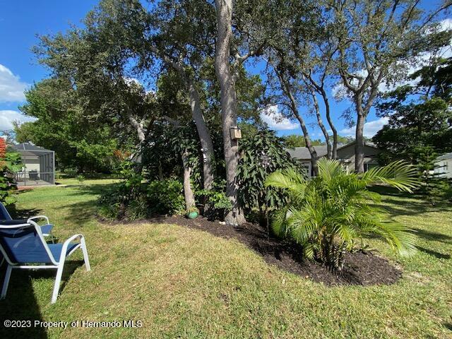 2671 Royal Ridge Drive Spring Hill, FL 34606 - Photo 31 of 34 a view of backyard with outdoor seating and green space