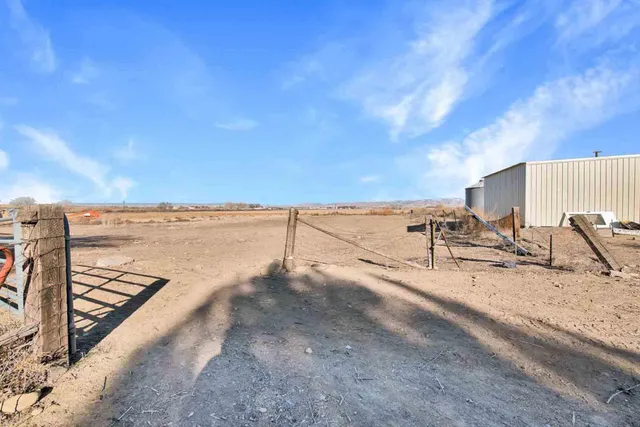 a view of dirt yard with a large tree