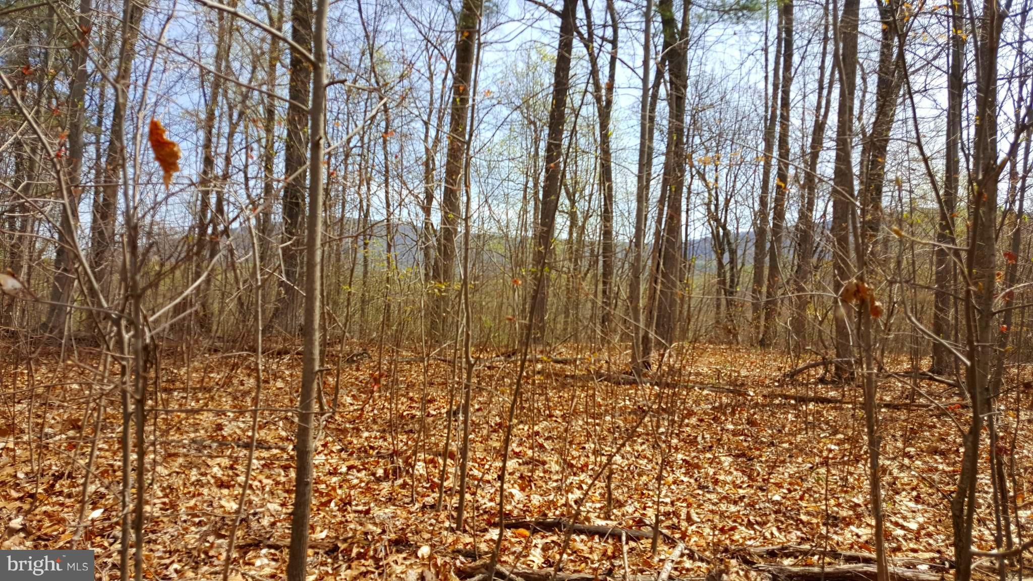 Lot 2-section Rainbow Way Front Royal, VA 22630 - Photo 2 of 2 a view of small yard