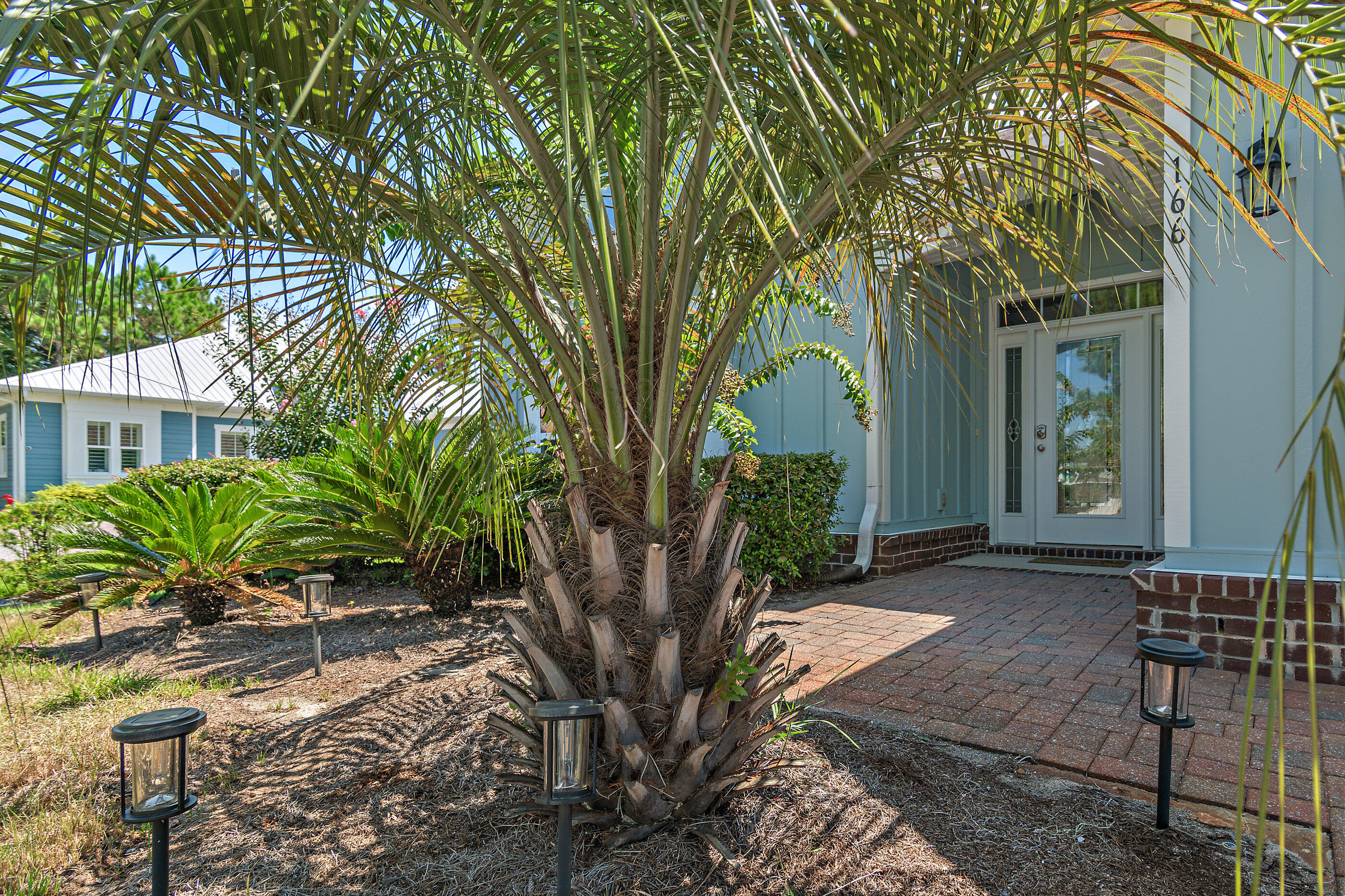 166 Ocean Spray Circle Santa Rosa Beach, FL 32459 - Photo 3 of 31 a view of a house with a tree