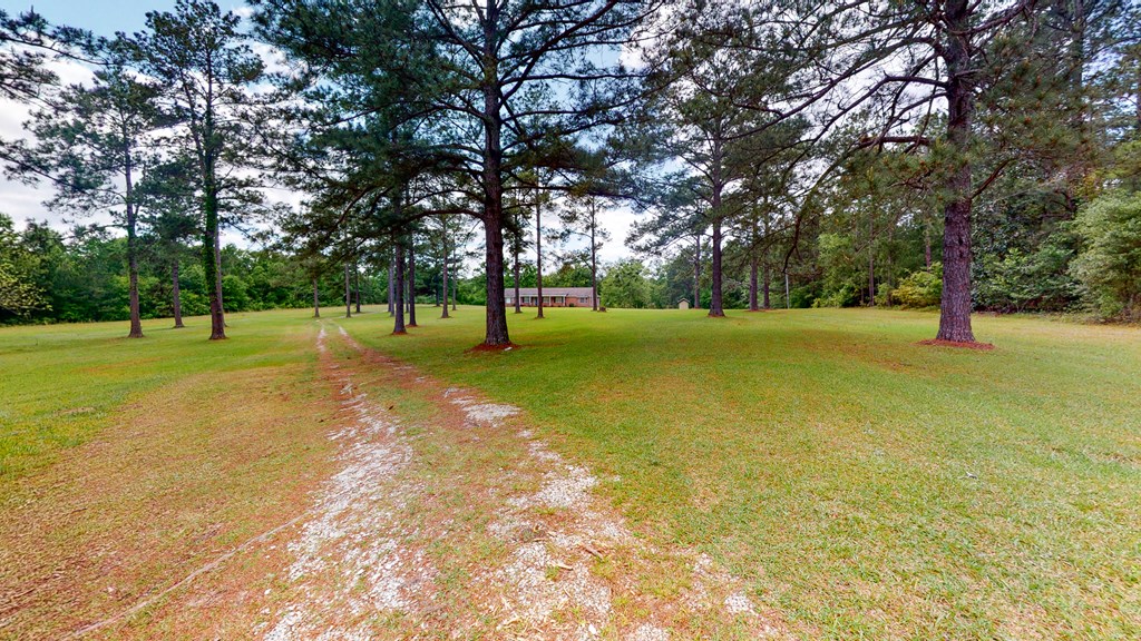 336 George Road Dothan, AL 36301 - Photo 41 of 41 Gallery Image 41