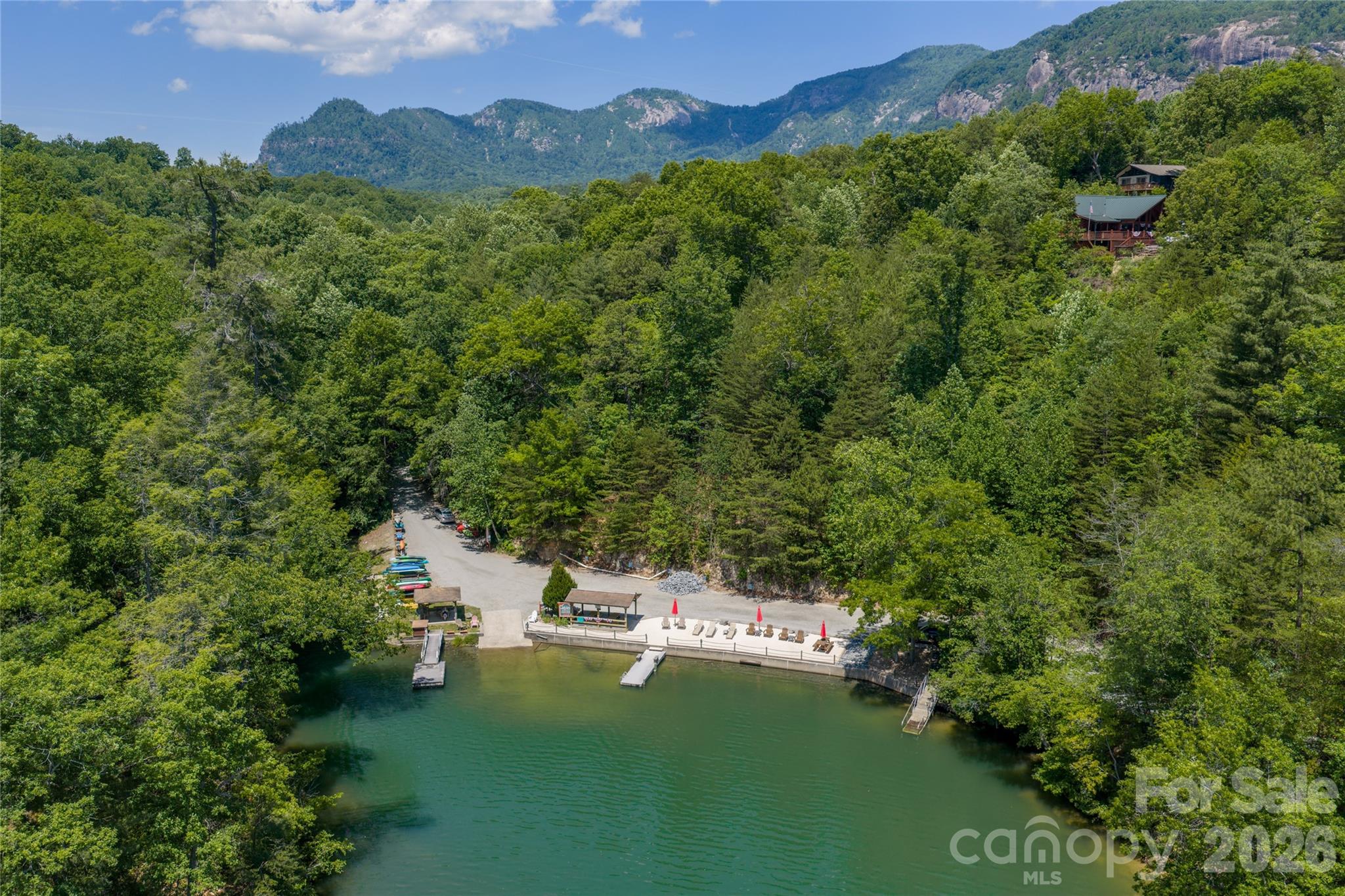 0 View Trail Lake Lure, NC 28746 - Photo 8 of 11 a view of a lush green forest with a houses