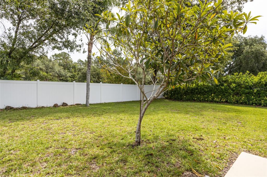 37 Rockefeller Drive Palm Coast, FL 32164 - Photo 14 of 18