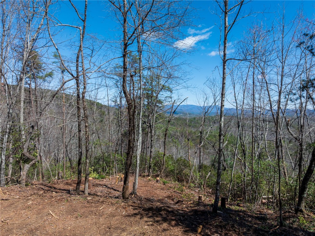 N30-n31 Jocassee Ridge Way Salem, SC 29676 - Photo 2 of 16