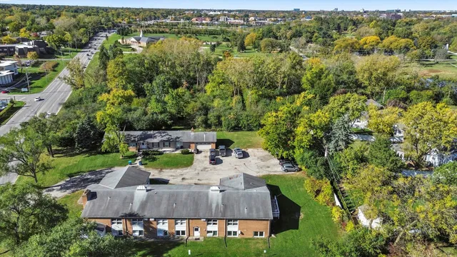 a view of a yard with plants