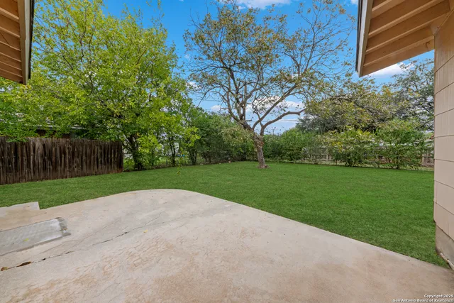 a view of a park with large trees