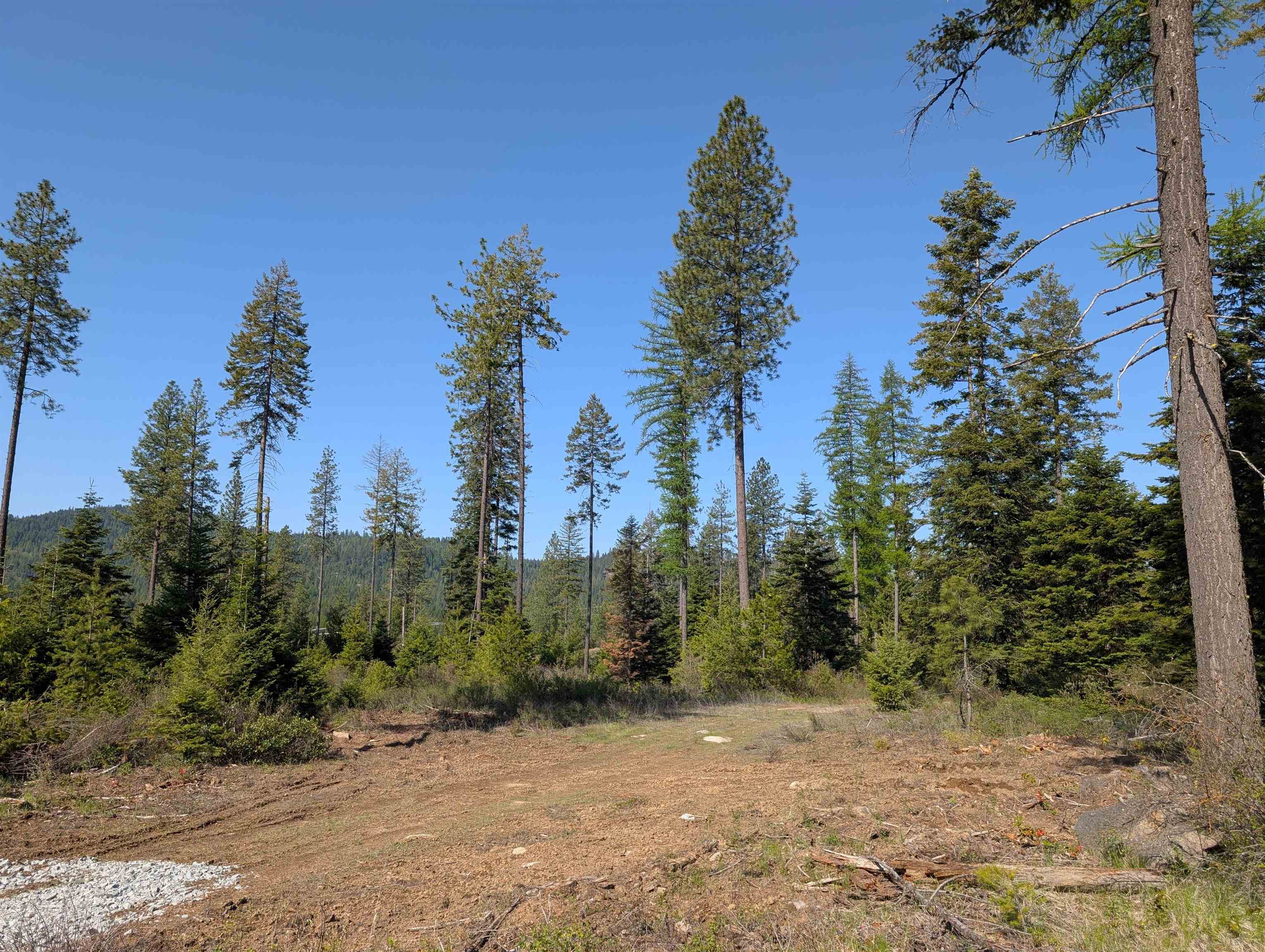 Nka Lot 3 Nka Road Newport, WA 99156 - Photo 13 of 14