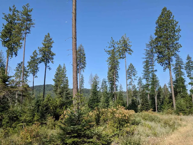 $129,900 | Nka Lot 3 Nka Road, Newport, WA 99156