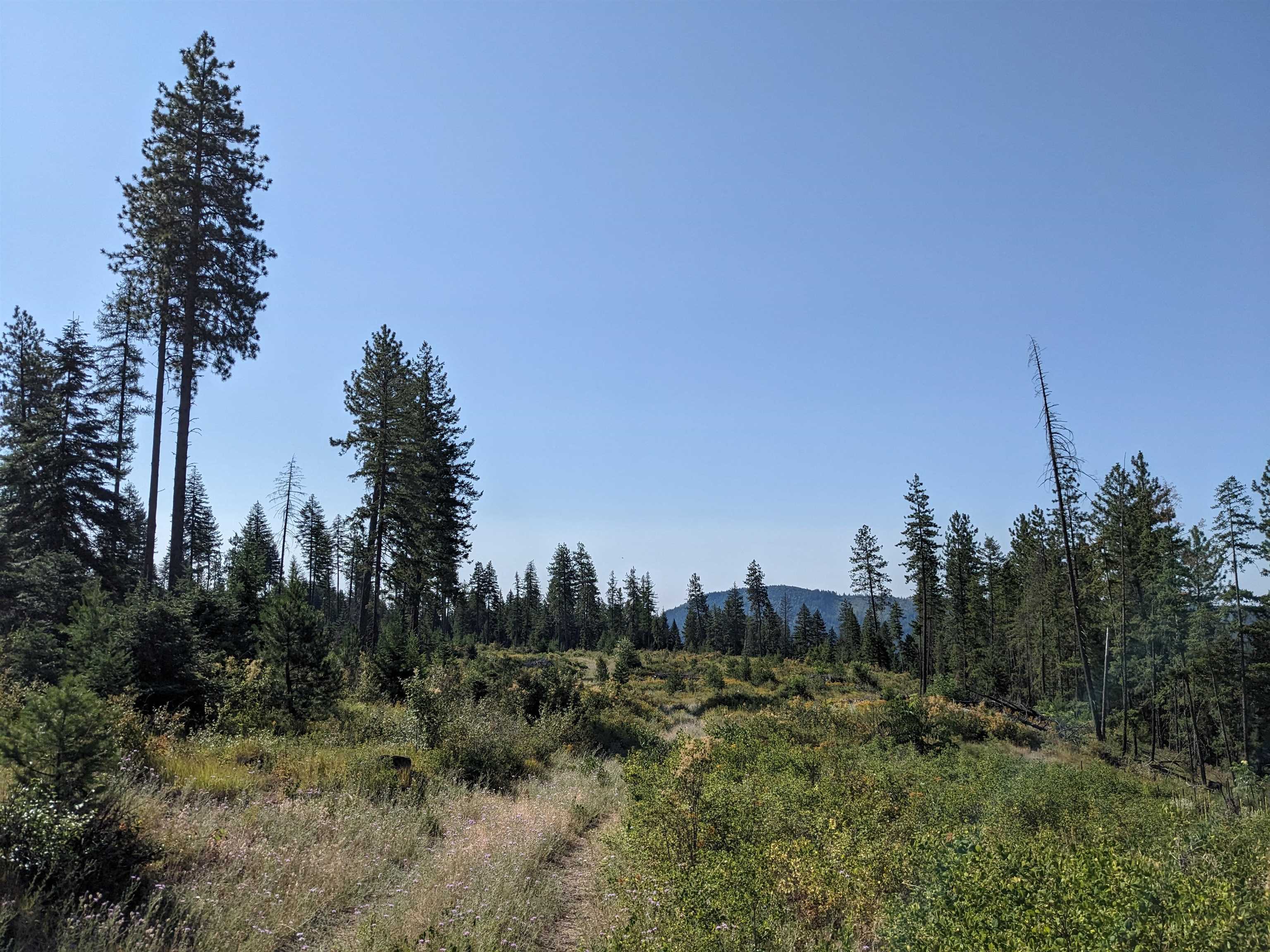 Nka Lot 3 Nka Road Newport, WA 99156 - Photo 5 of 14