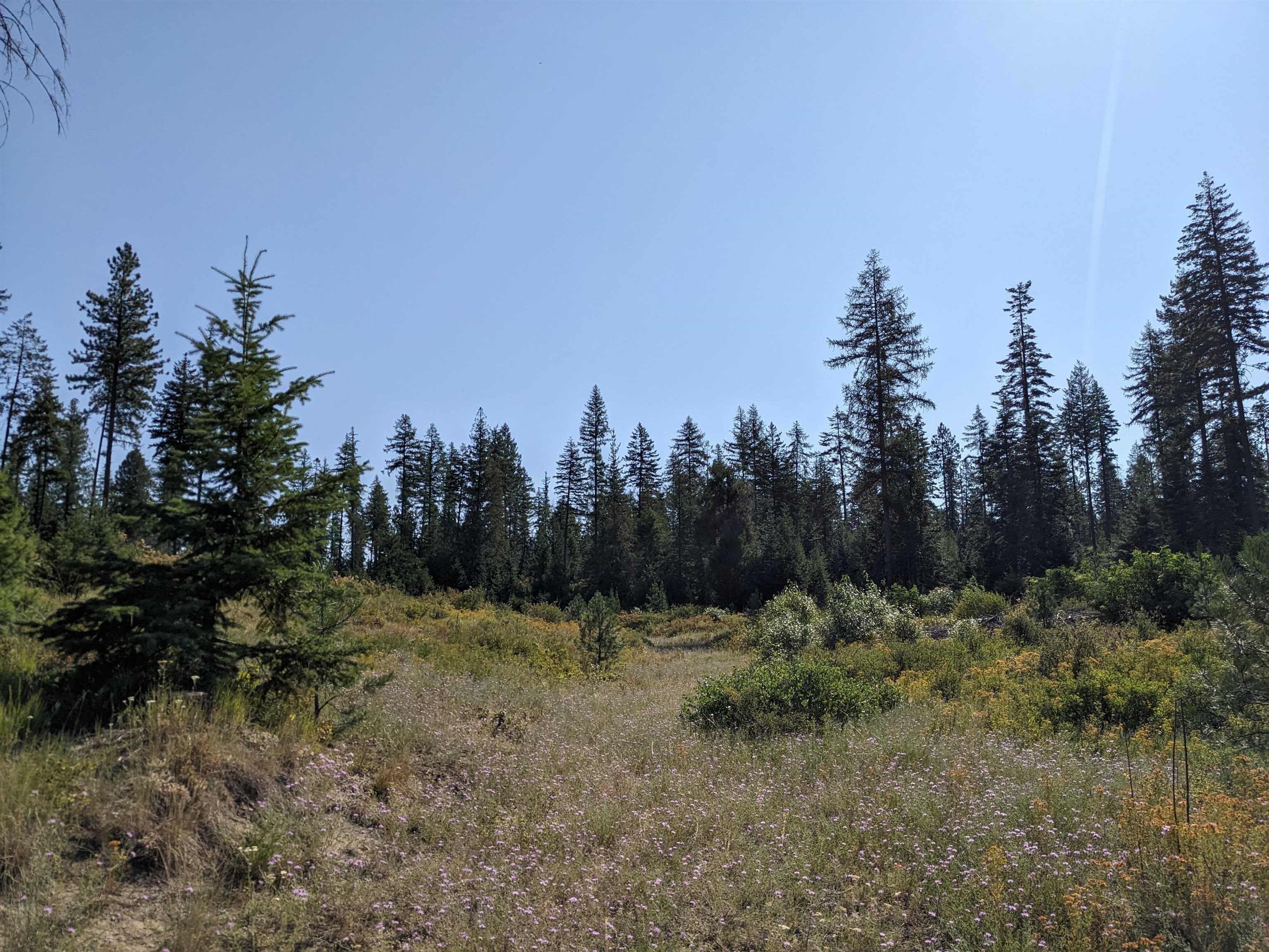 Nka Lot 3 Nka Road Newport, WA 99156 - Photo 6 of 14