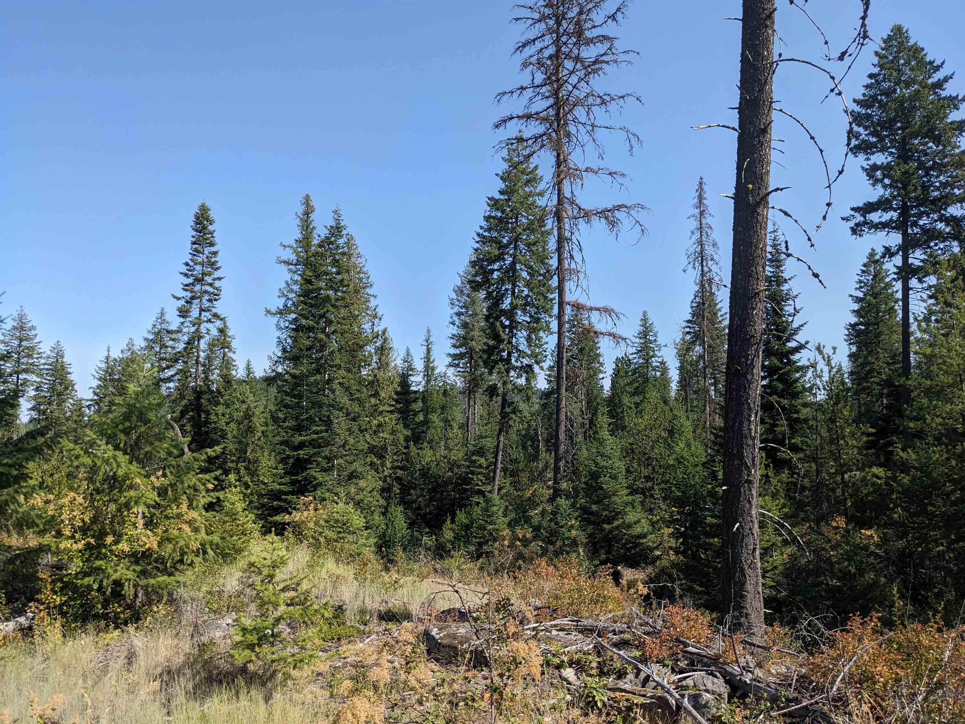 Nka Lot 3 Nka Road Newport, WA 99156 - Photo 7 of 14