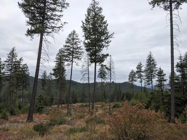 $129,900 | Nka Lot 3 Nka Road, Newport, WA 99156