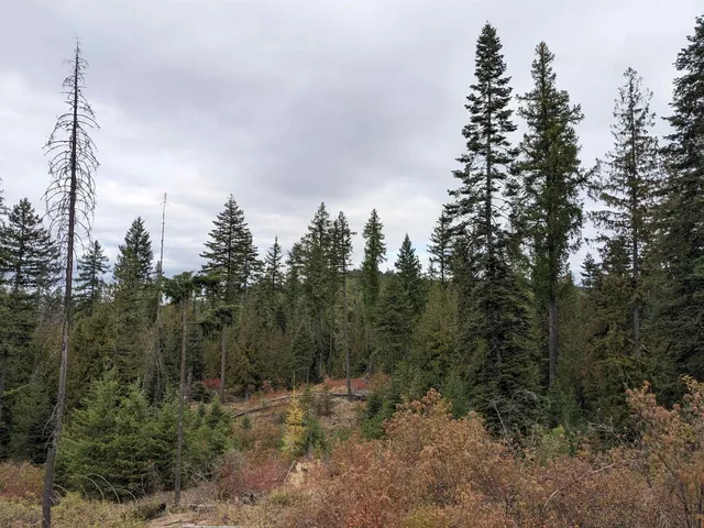 $129,900 | Nka Lot 3 Nka Road, Newport, WA 99156
