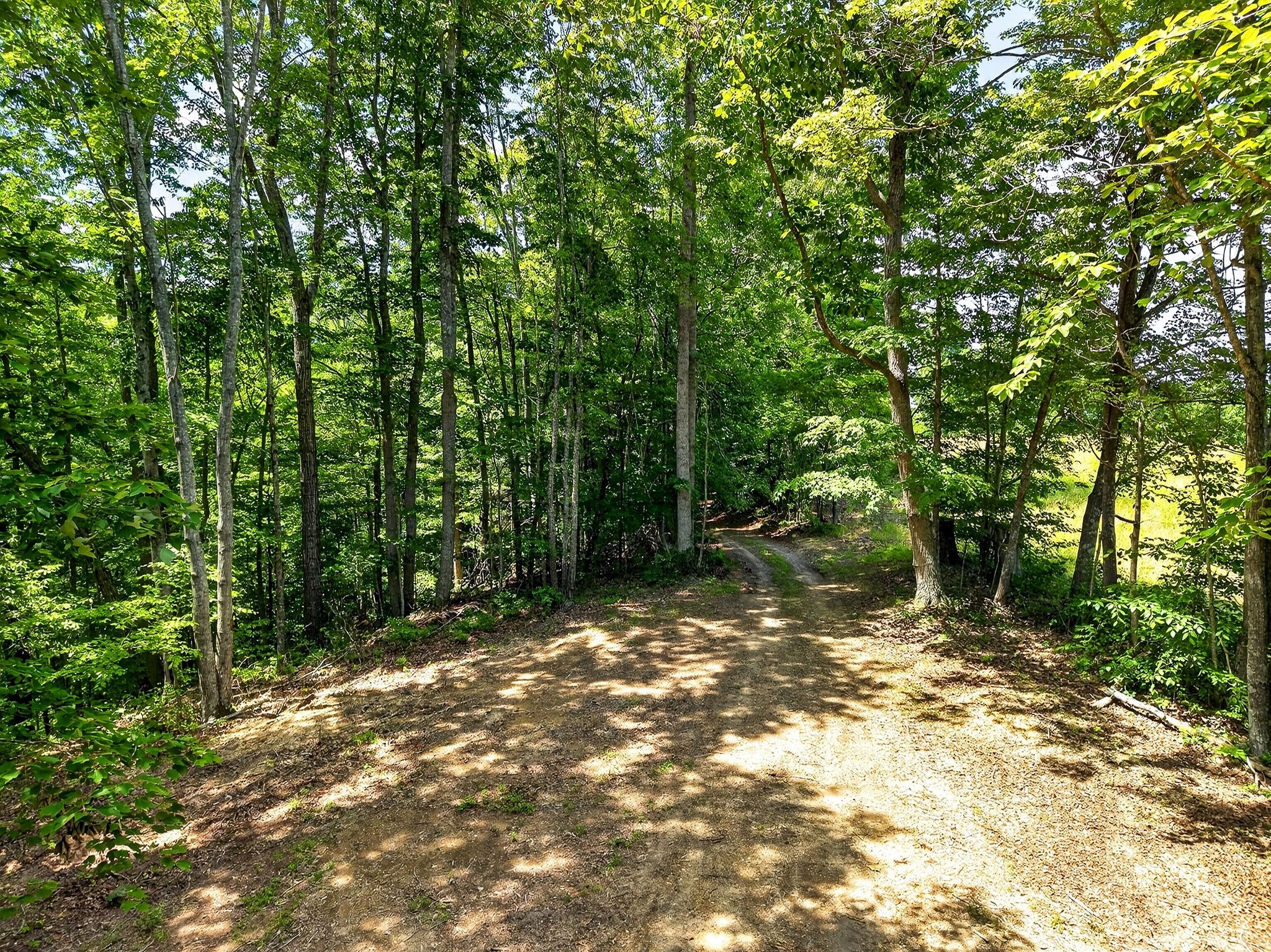 2926 Bryant Ridge Road Baxter, TN 38544 - Photo 41 of 64