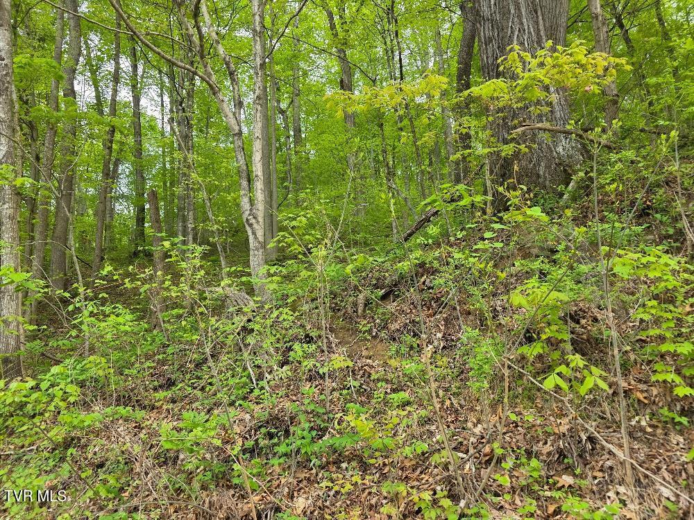 Tbd Garrison Hollow Road Elizabethton, TN 37643 - Photo 1 of 1 garrison Hollow