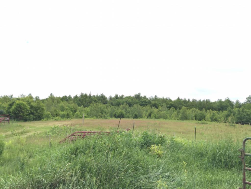 130 Mason Road Milton, NH 03851 - Photo 16 of 32