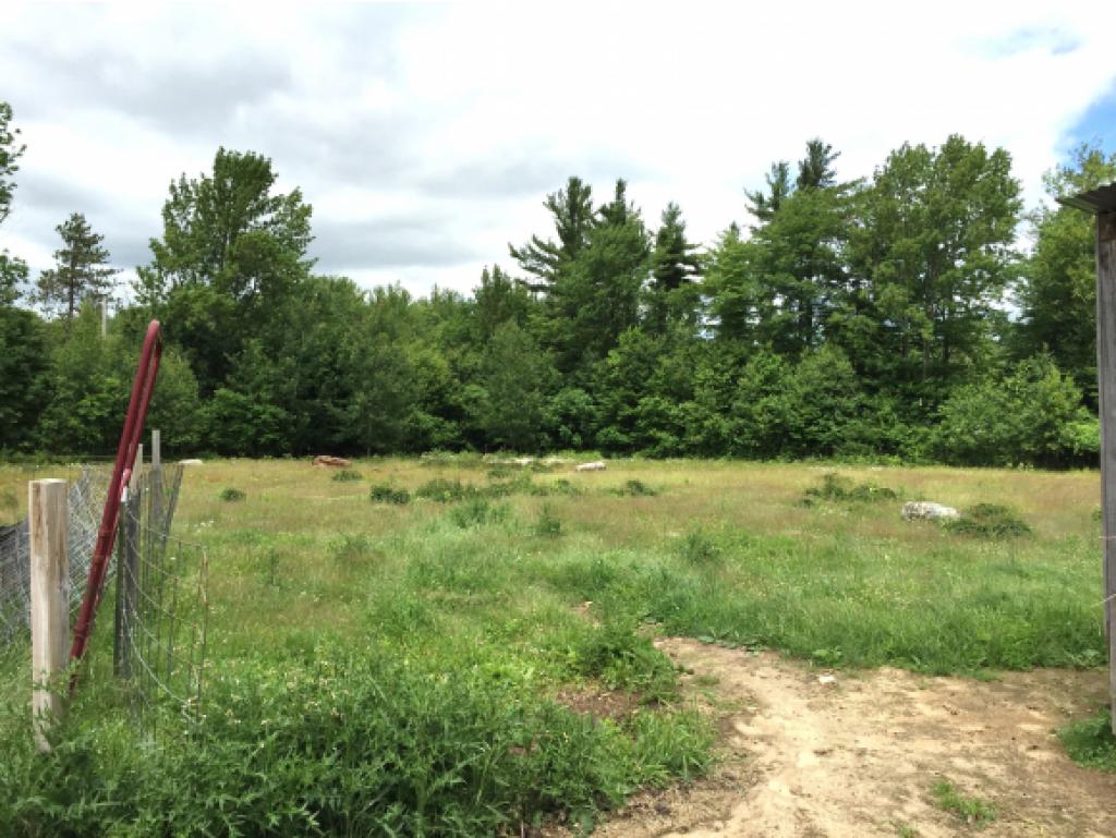 130 Mason Road Milton, NH 03851 - Photo 3 of 32