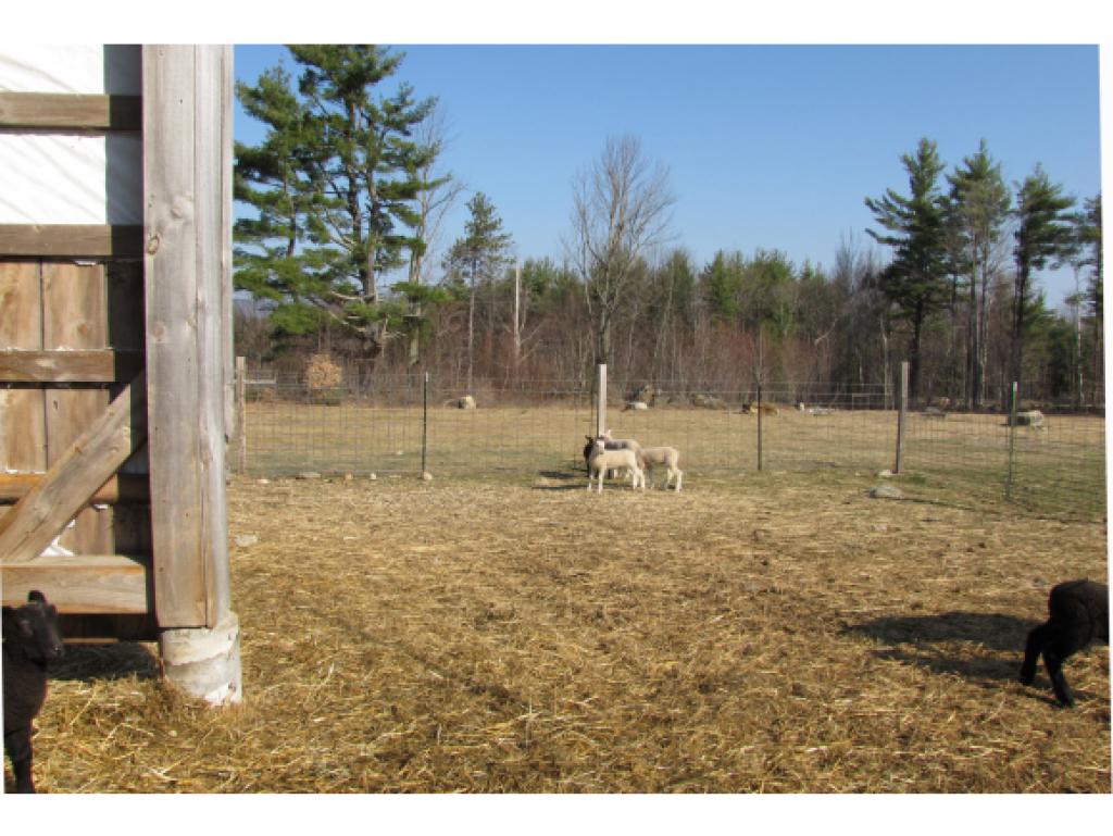 130 Mason Road Milton, NH 03851 - Photo 31 of 32